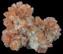 Aragonite Twinned Crystal Cluster - Morocco #59793-1